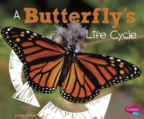 Mary R Dunn Explore Life Cycles Butterflys Life Cycle (Paperback)Another great item from Rarewaves USA | Free delivery!