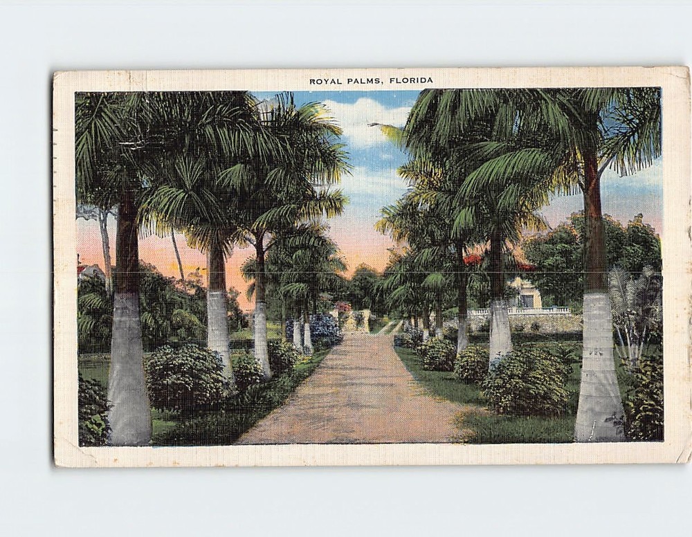 Postcard Royal Palms Florida USA