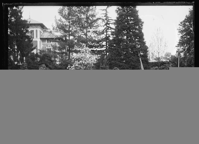 Photo:Italy 1917-1920 American Red Cross Parade Trees Building