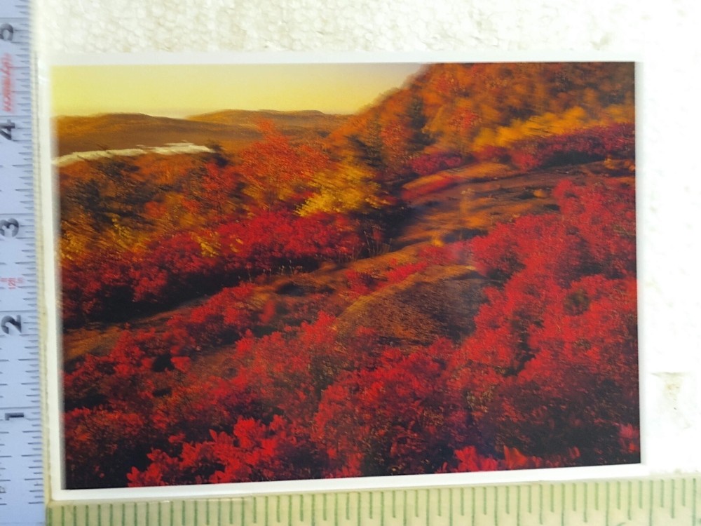 Postcard Acadia National Park Maine USA-image