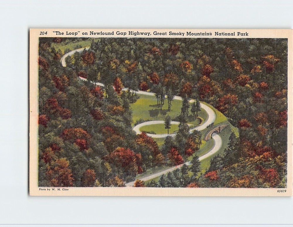 Postcard The Loop Newfound Gap Highway Great Smoky Mountains National Park USA