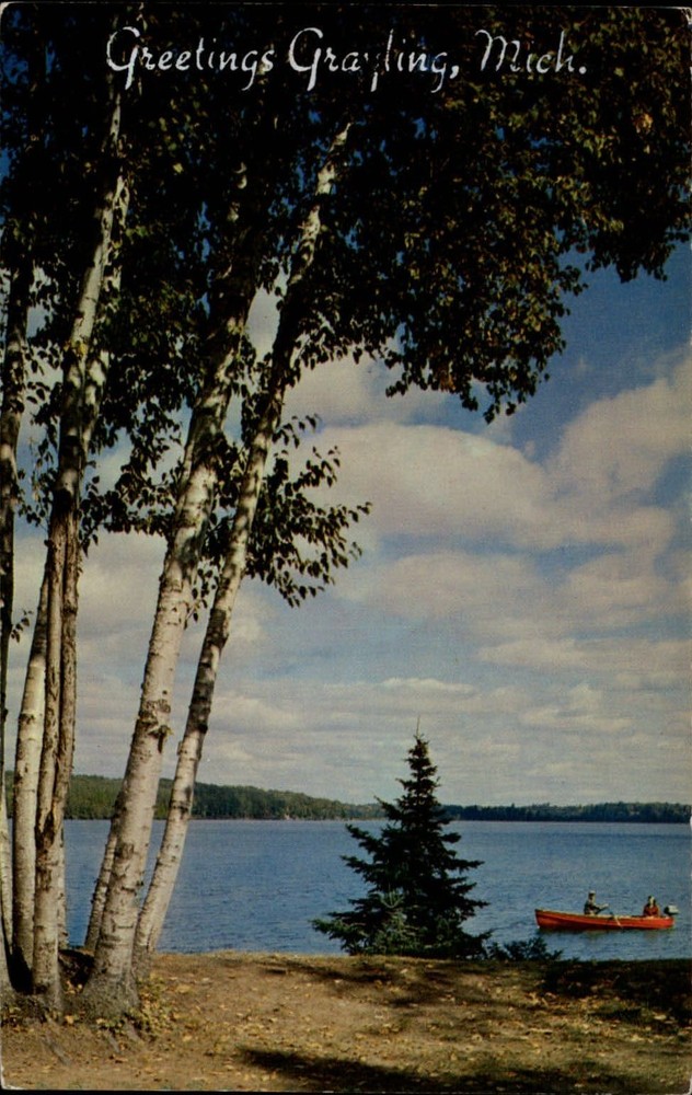 Michigan Grayling Greetings white birch rowboat ~ 1950s-60s postcard sku047
