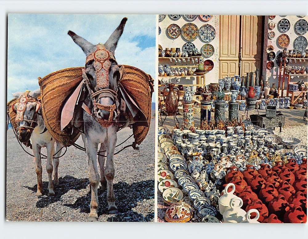 Postcard Donkey & Typical Scene Spain