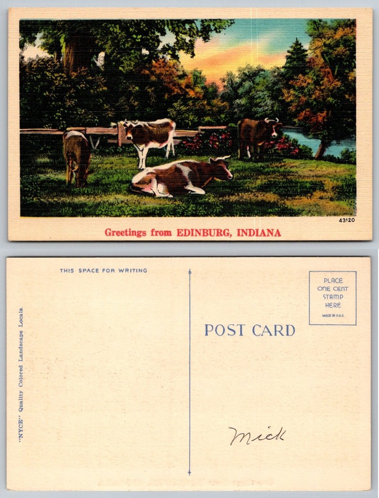 Vintage Linen Postcard Greetings from Edinburg Indiana Cows Farm Scene