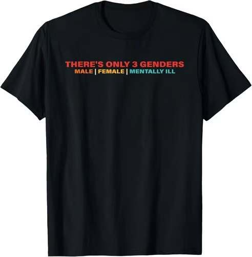 There's Only 3 Genders Male Female Mentally Ill T-Shirt