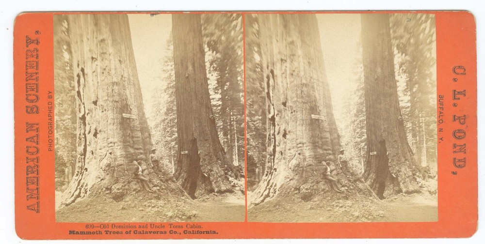 C20910~ YOSEMITE Valley California – CL Pond #699 Uncle Tom’s Cabin Stereoview
