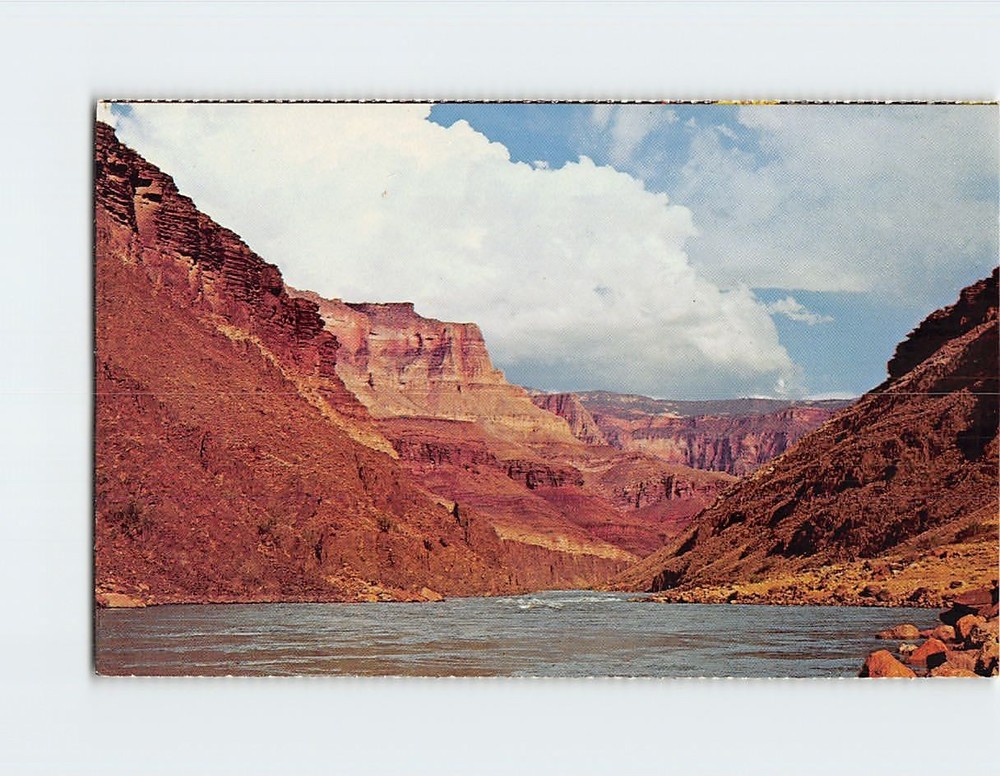 Postcard The Colorado River Grand Canyon National Park Arizona USA
