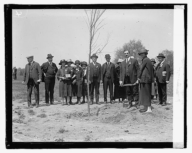 Photo:Massachusetts Society,#13,Planting a tree,1923,1