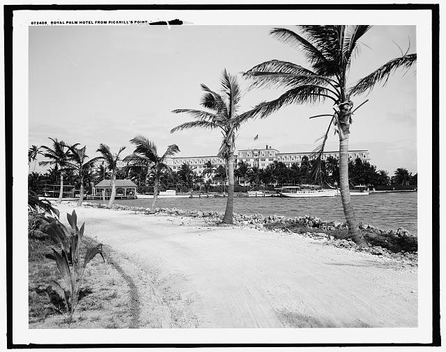 Miami Fla Royal Palm Hotel Brickell Point 1910s Palm Trees Waterfront
