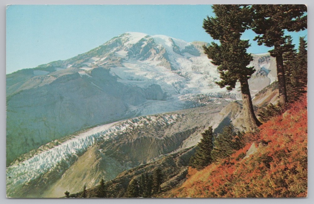 State View~Mount Rainier & Nisqually Glacier In Autumn~Vintage Postcard