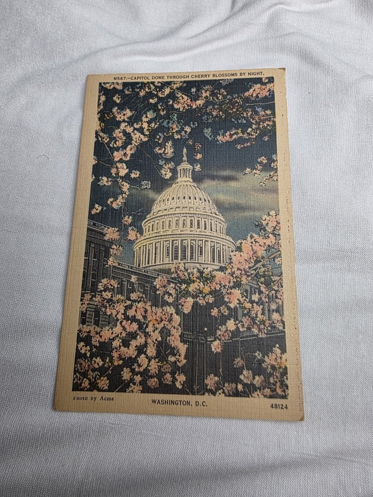 B. S. Reynolds Linen Postcard Capitol Dome Cherry Blossoms Washington D.C.