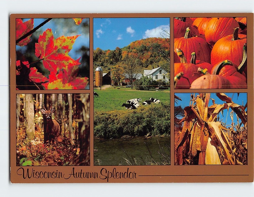 Postcard Autumn Splendor in Wisconsin USA