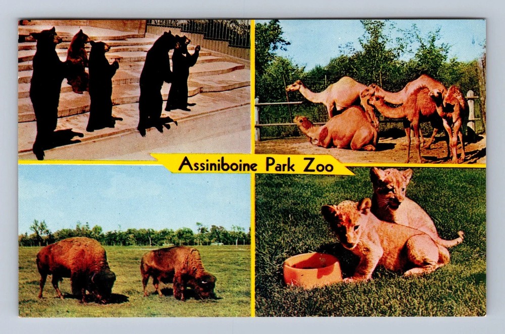 Canada Manitoba Winnipeg Assiniboine Park Zoo Vintage Postcard
