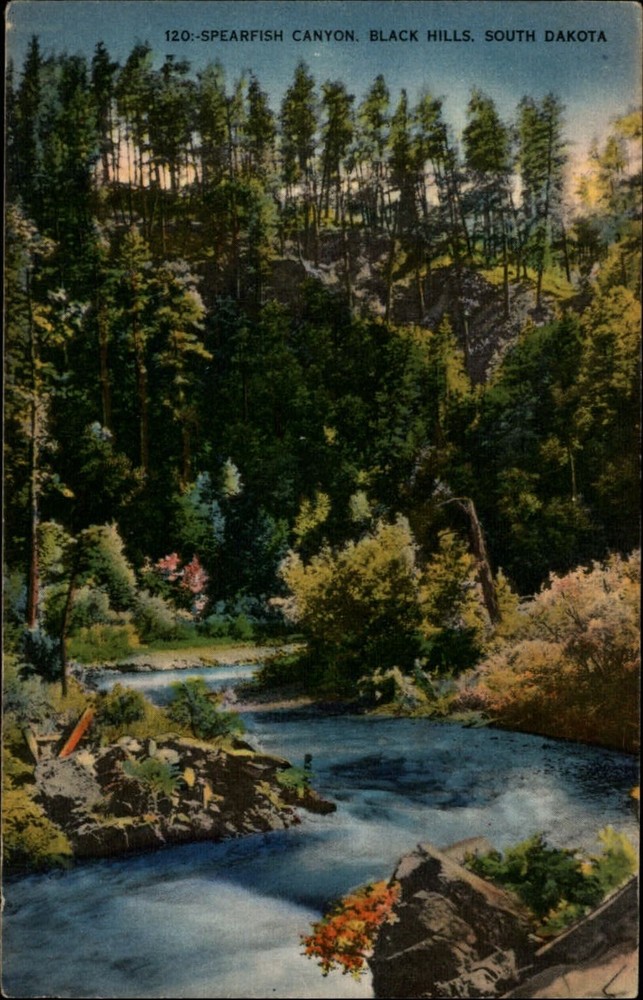 Black Hills South Dakota Spearfish Canyon river ~ 1940s linen postcard