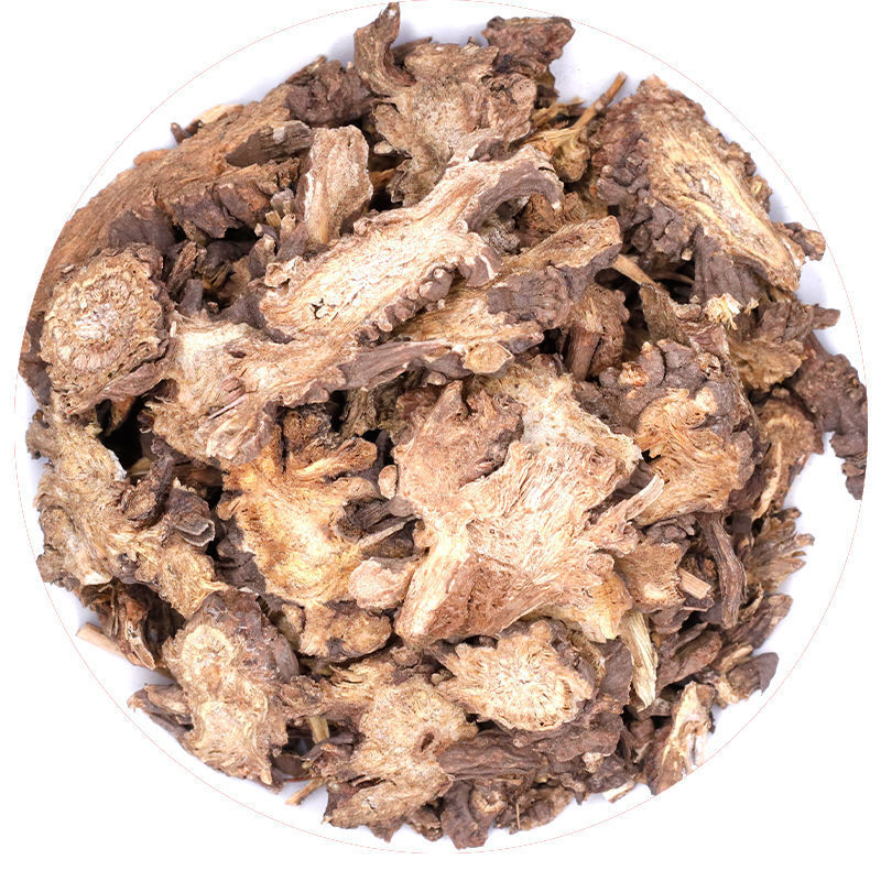 Gaoben Chinese Herb – Natural Health Benefits of Traditional Medicinal Roots