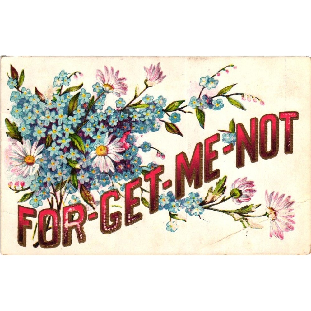 Antique 1908 Forget-Me-Not Floral Embossed Postcard Maywood IL Postmark Franklin