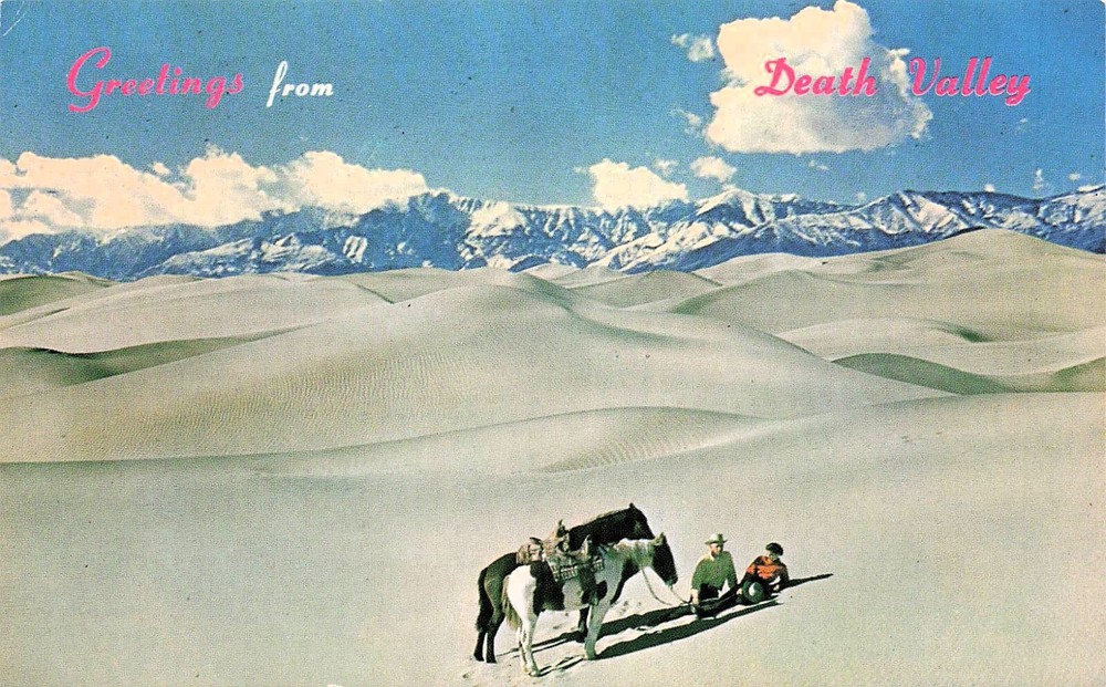 Death Valley CA California Western Cowboys Horse Riding Desert Vtg Postcard E33
