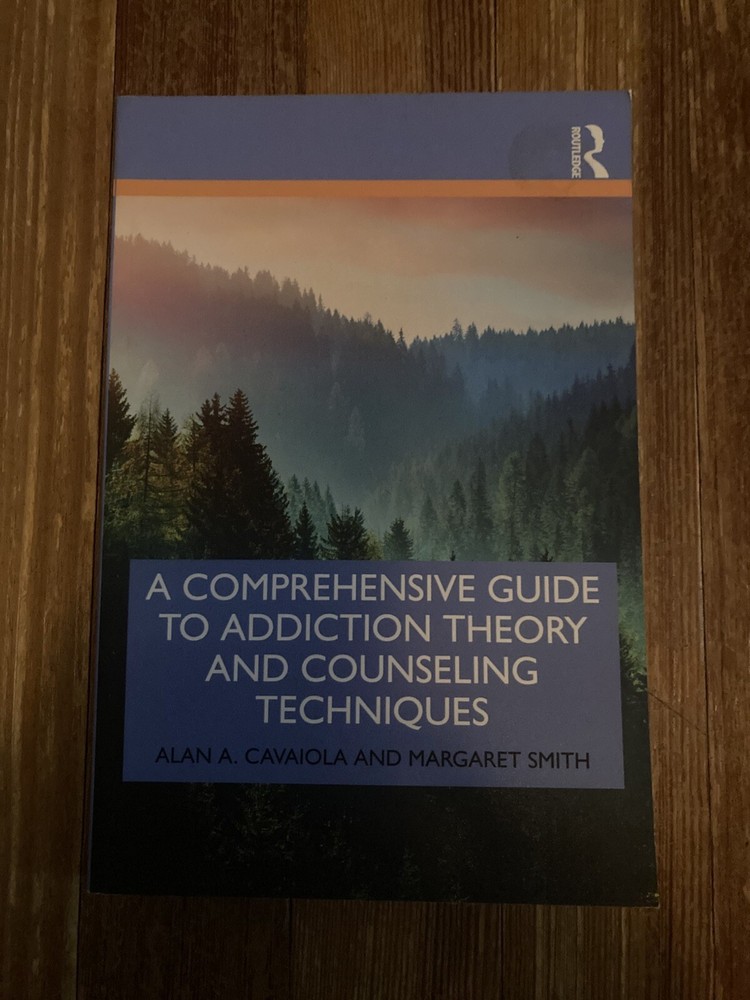 A Comprehensive Guide to Addiction - Paperback, by Cavaiola Alan A. - Very Good