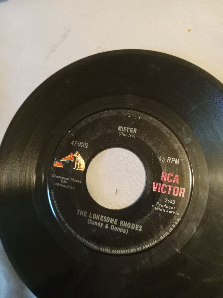 45 - THE LONESOME RHODES (SANDY & DONNA)- 47-9402 