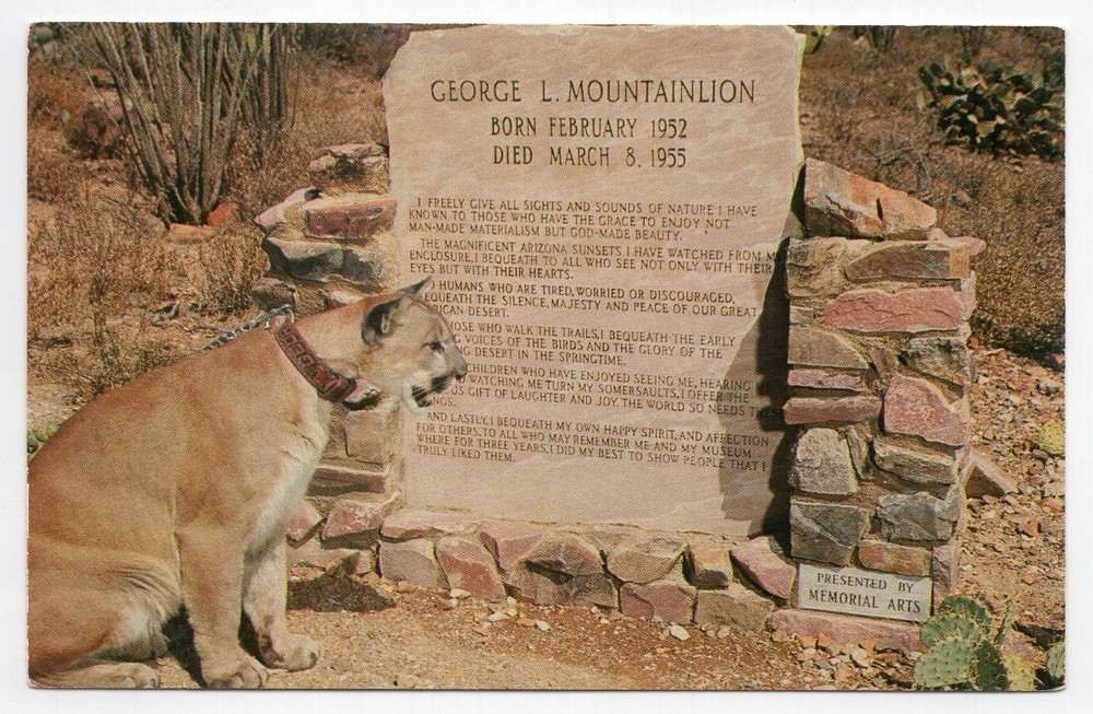 1960s? Chrome - CLOSEOUT - George Mountainlion II, Last Will - Tucson, Arizona