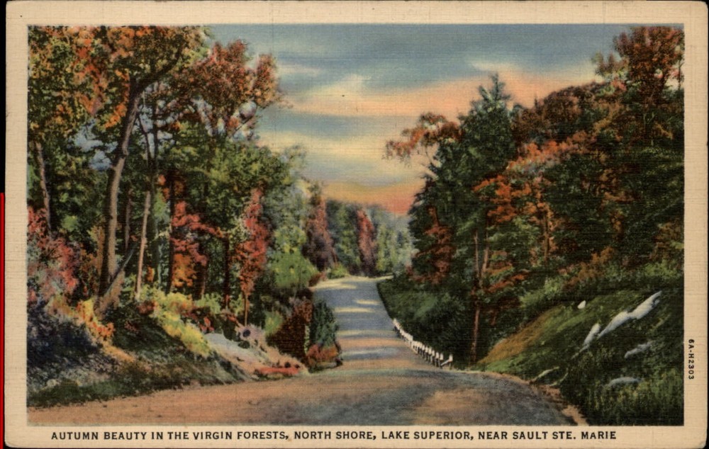 Michigan Sault Ste Marie North Shore Lake Superior forests  1930s linen postcard