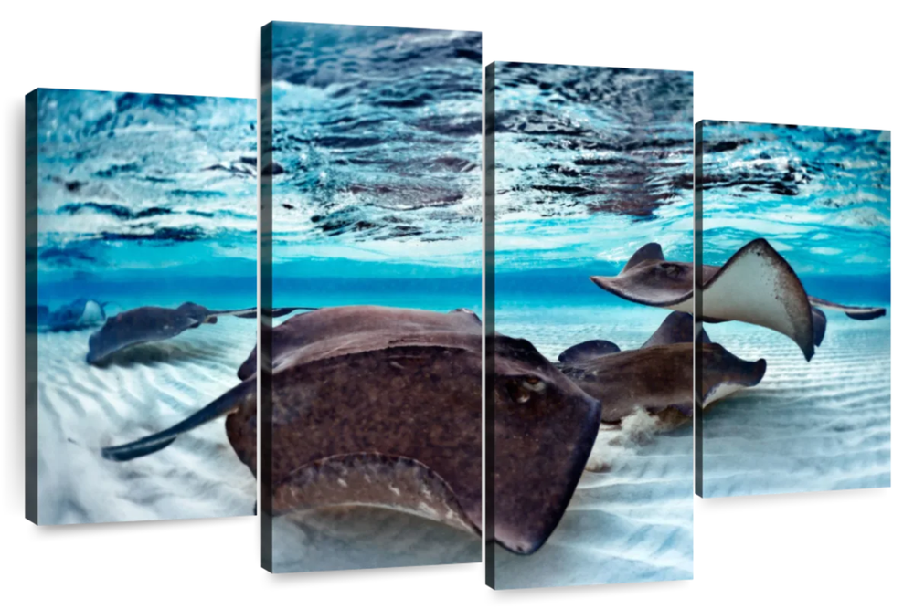 Stingrays Sea Life Wall Art