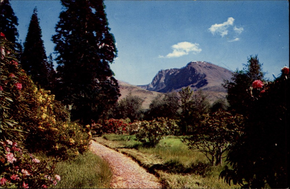 Ben Nevis Inverness-shire Scotland view vintage postcard m462