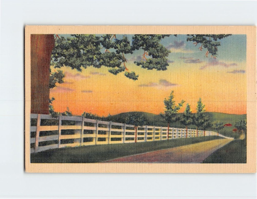 Postcard Road Fence Trees Sunset Landscape Scenery