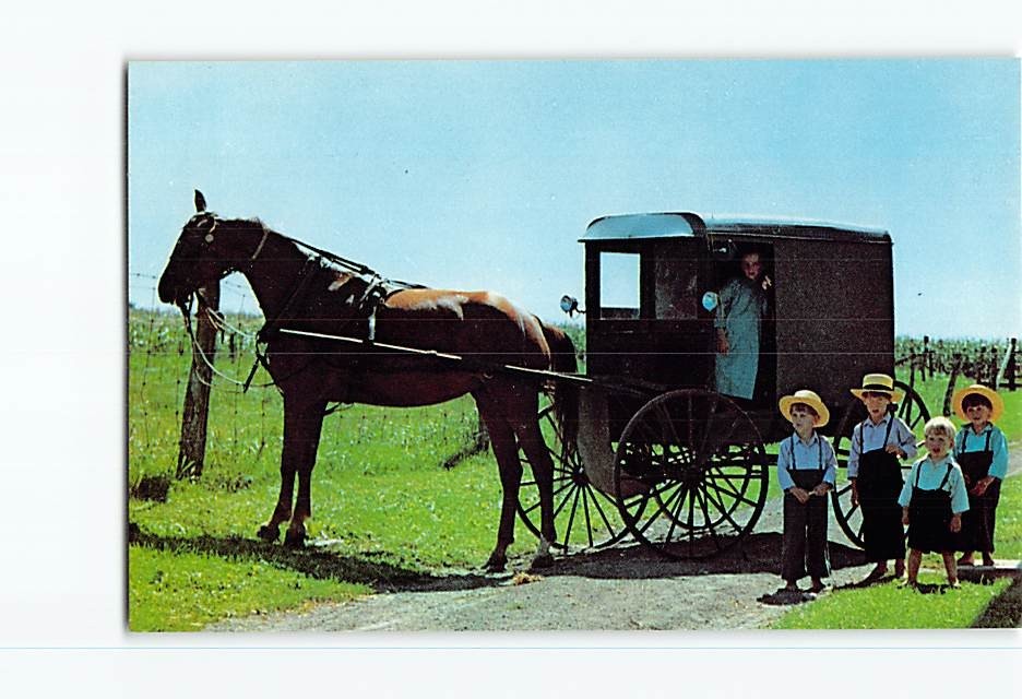 Postcard Greetings From The Amish Country Horse Buggy Children Vintage