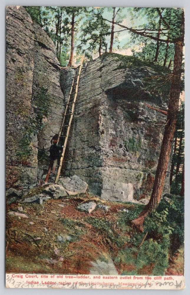 Indian Ladder Helderbergs NY Craig Court Old Tree-Ladder Postcard 1907