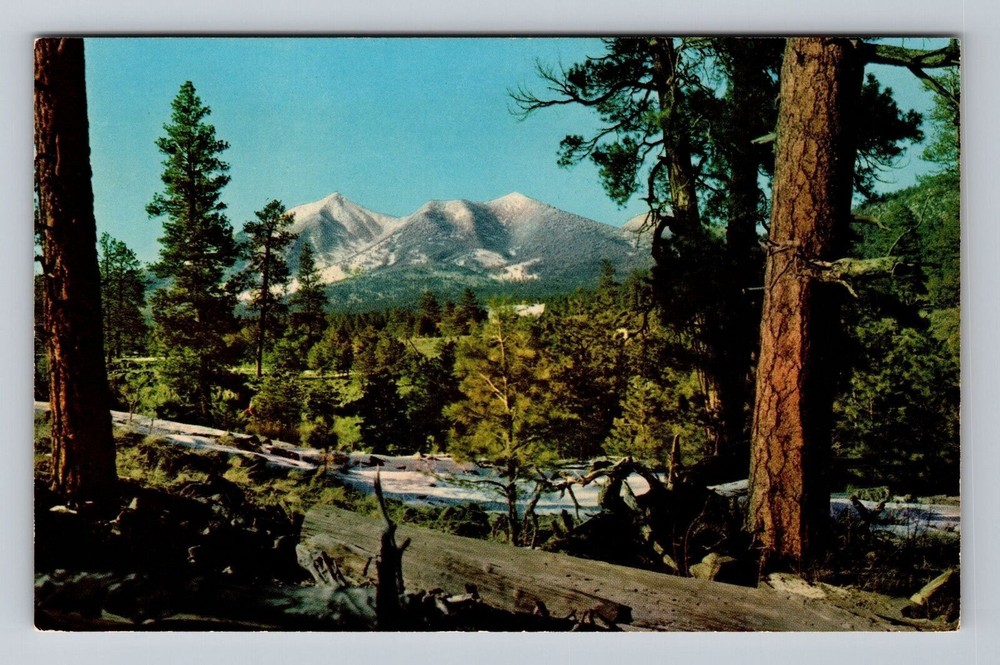 Arizona AZ Flagstaff San Francisco Peaks Vintage Postcard