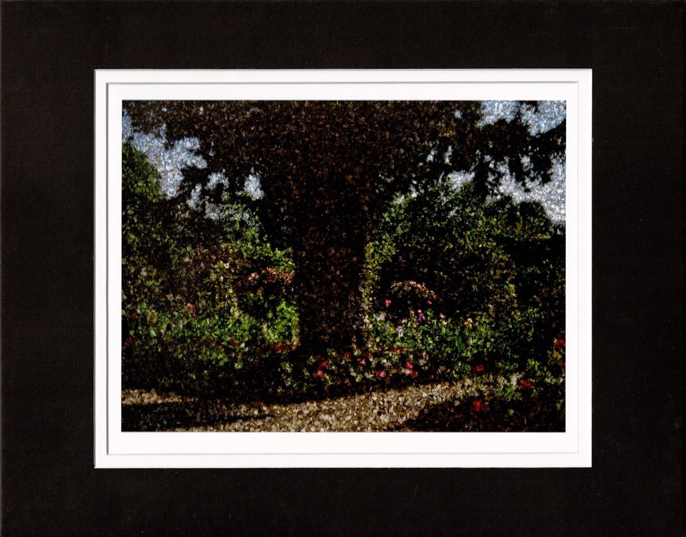 Abelardo Morell Yew Tree Monet's Garden Giclee Limited Ed Photograph Print 2024