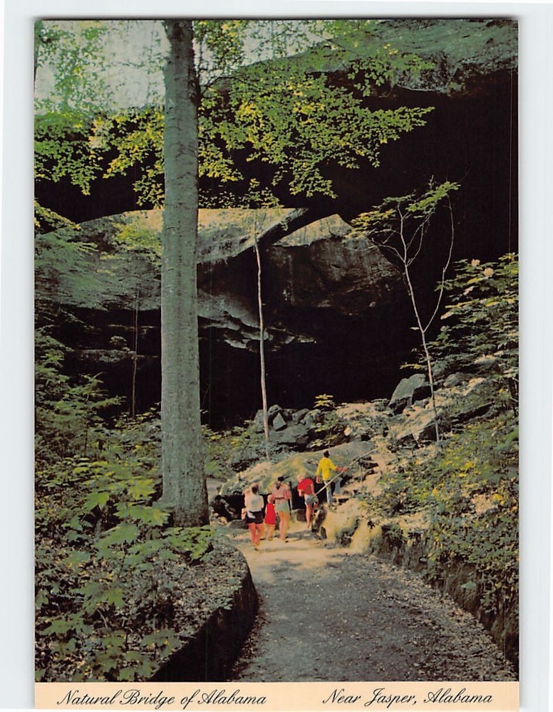 Postcard Natural Bridge of Alabama USA