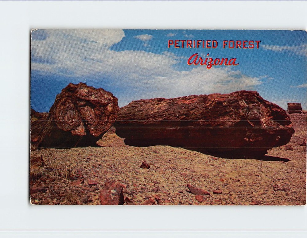 Postcard Rainbow colored agatized logs Petrified Forest Arizona USA