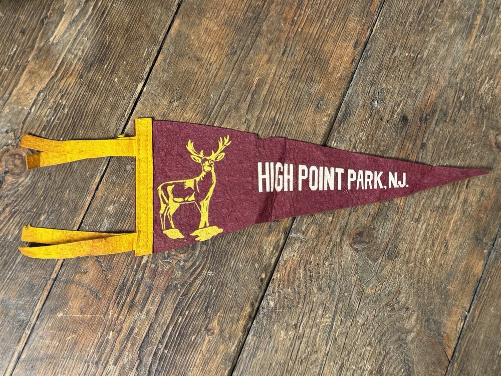 Vintage 1940’s High Point Park NJ Mini Felt Pennant