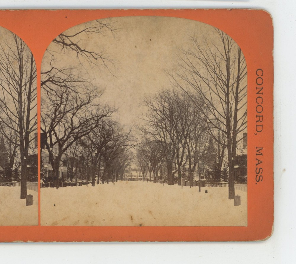Main Street Concord MA Massachusetts Thomas Lewis Stereoview