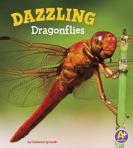 Dazzling Dragonflies, Paperback by Ipcizade, Catherine, Brand New, Free shipp...