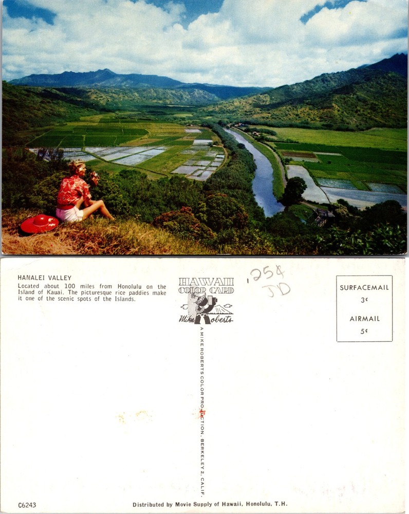 Hanalei Valley Overlook Island of Kauai Hawaii HI Postcard