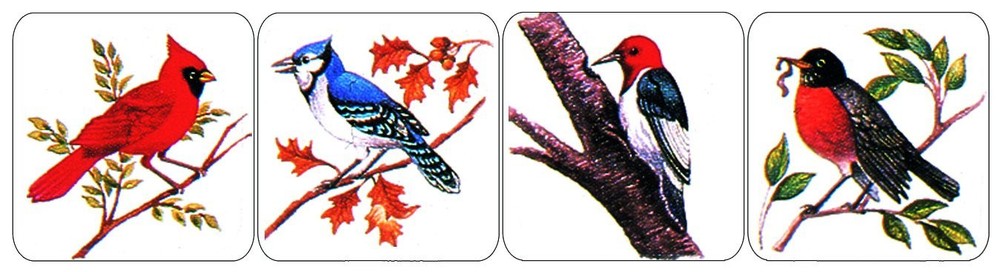 Bird Stickers Teacher Supplies for School Children, 1