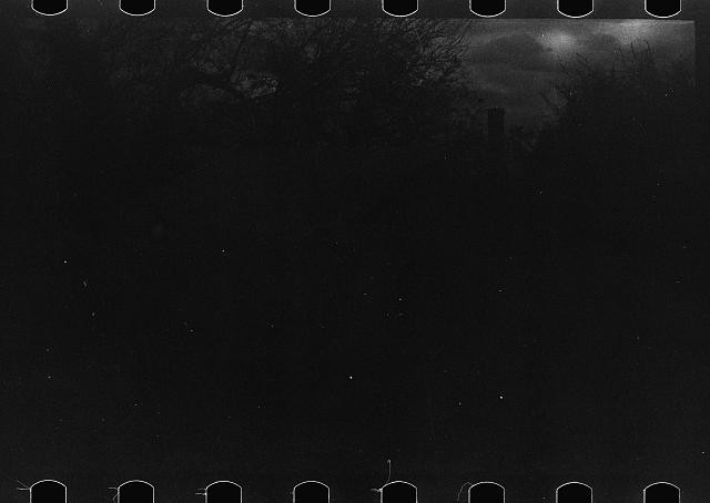 Photo:Untitled 1930s Dark Landscape Silhouette Trees Night Sky