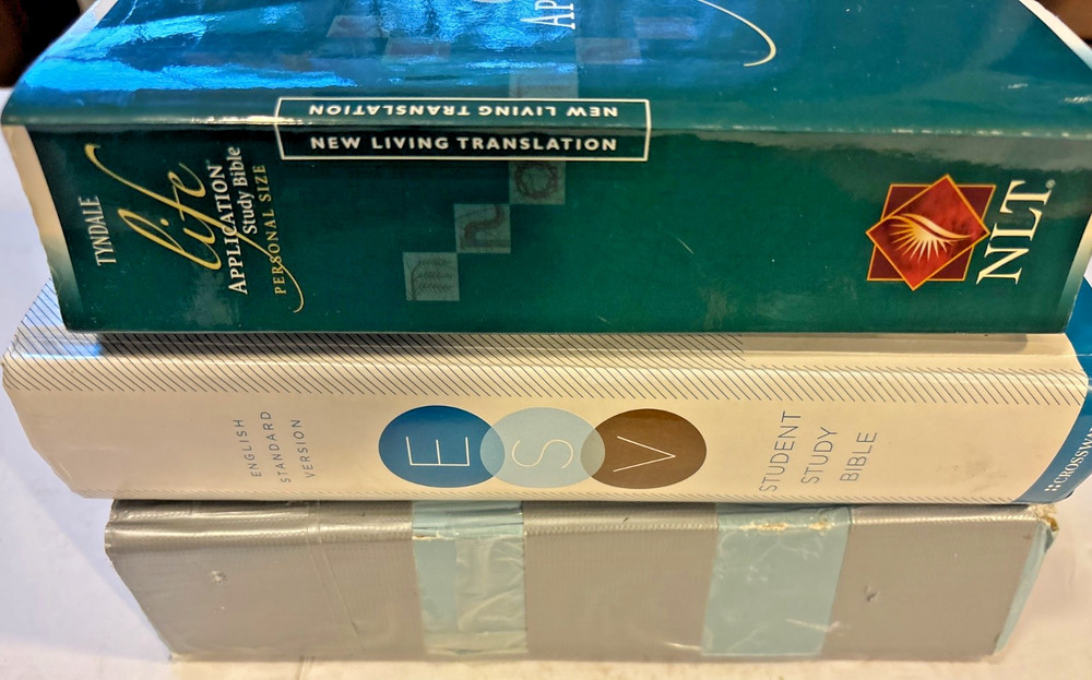 Lot Of 3  Study Bibles