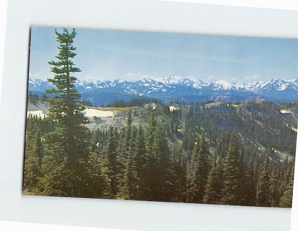 Postcard Snowy Olympic Mountains Washington USA