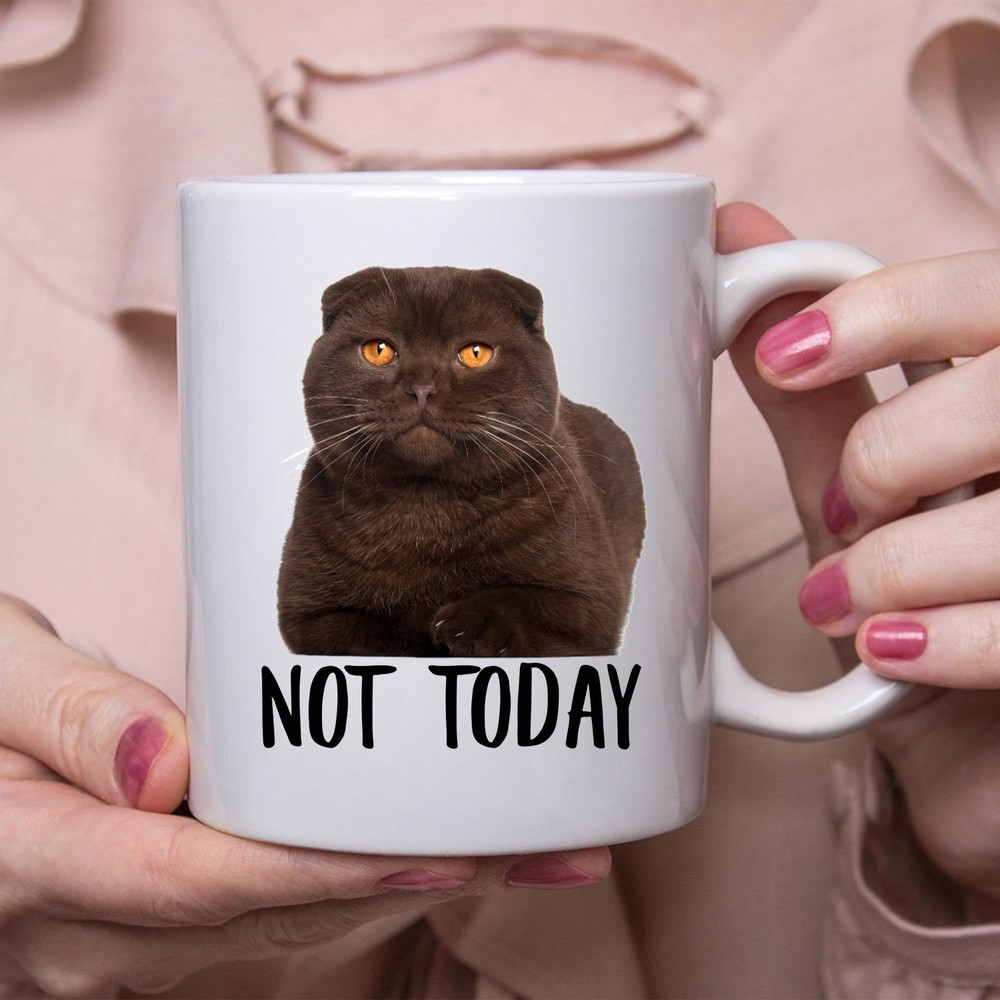 Funny Scottish Fold Cat Chocolate Not Today Cat Mug Lazy Gift For Cats Lovers