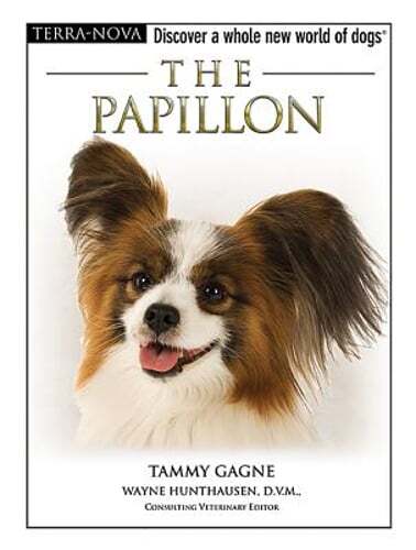 The Papillion by Tammy Gagne: Used