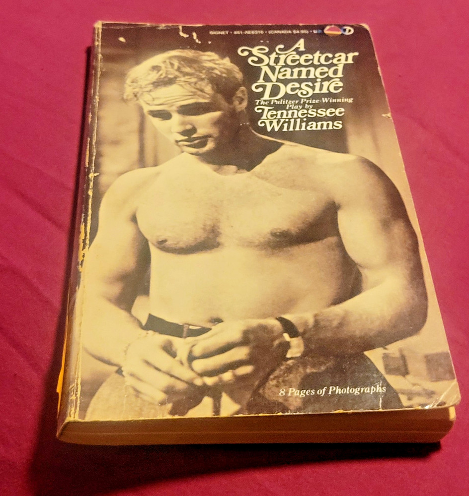 A Streetcar Named Desire Tennessee Williams Play Vintage Classic PB BUY 2 GET 1