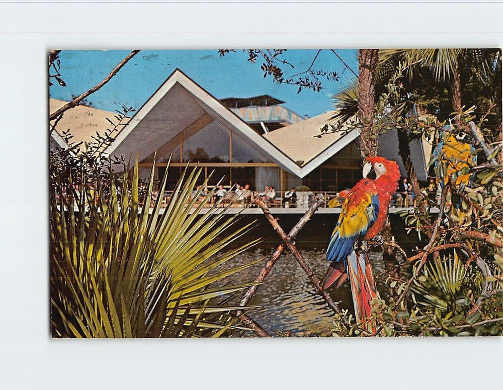 Postcard Hospitality House Busch Gardens Tampa Florida