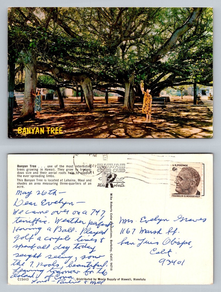 Lahaina, HI-Hawaii, Famous Maui Banyan Tree Spreading Roots Vintage Postcard