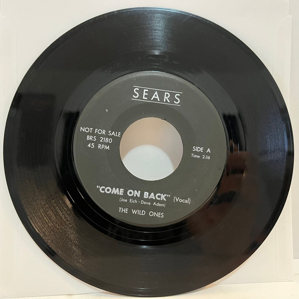 THE WILD ONES - Come On Back (Sears Promo) (1966) - 7