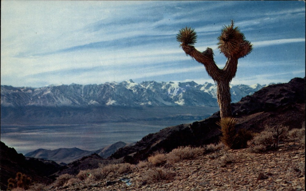 Lone Pine California Sierra Nevada Range Mt Whitney snowcapped unused postcard