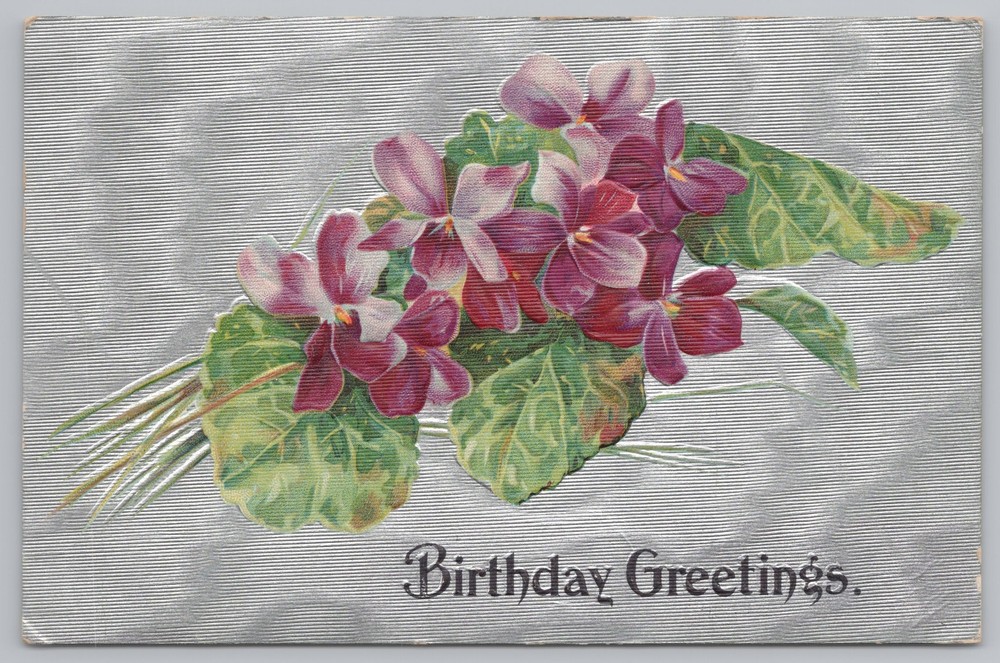 Greetings~Purple Violets & Birthday Greeting~Vintage Postcard